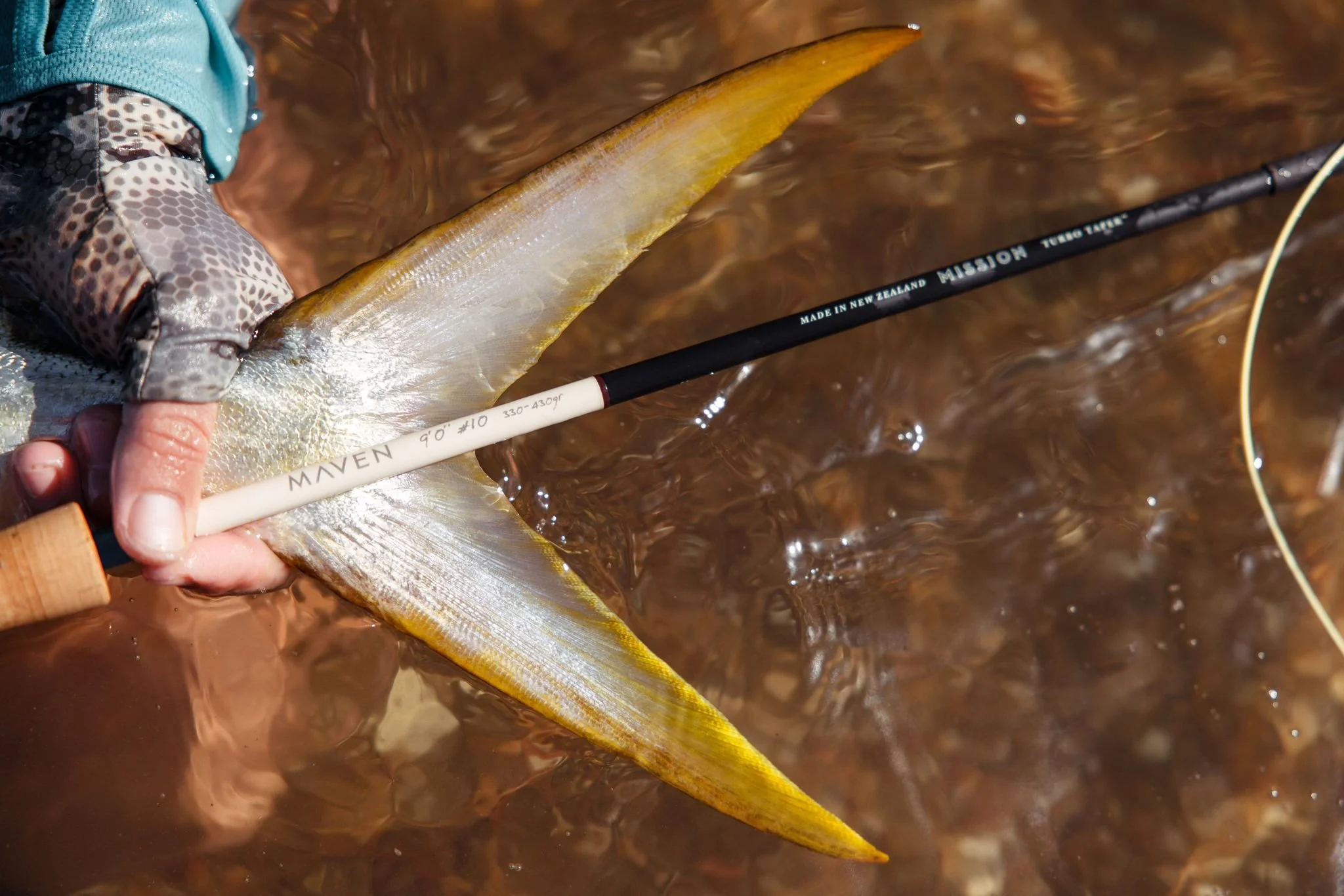 d66ecdb9-1240-410e-bd2d-4cd69249ba3e 3.JPG