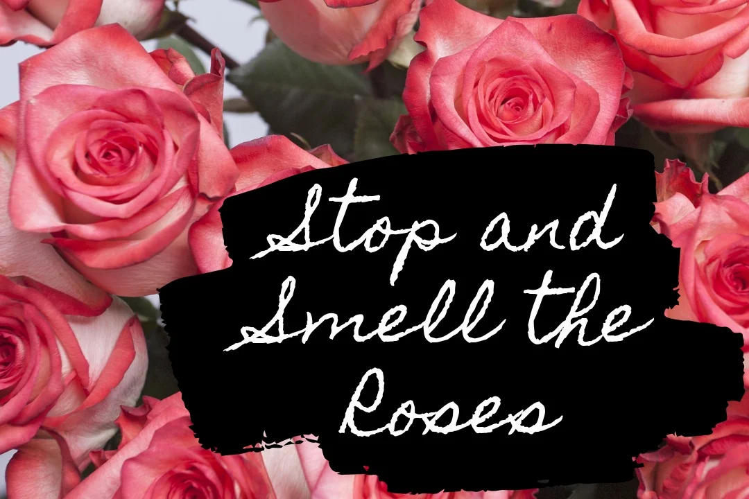 Stop+and+smell+the+roses.jpg