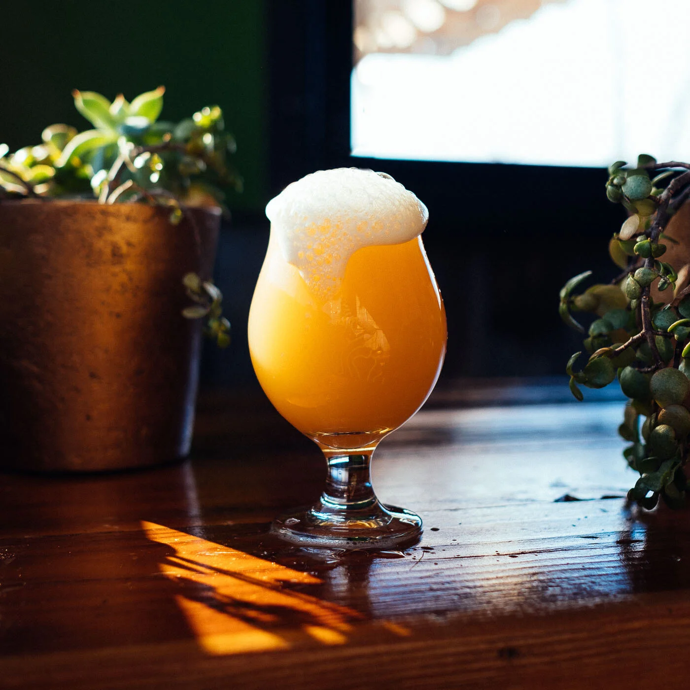Back Channel Brewing Co.