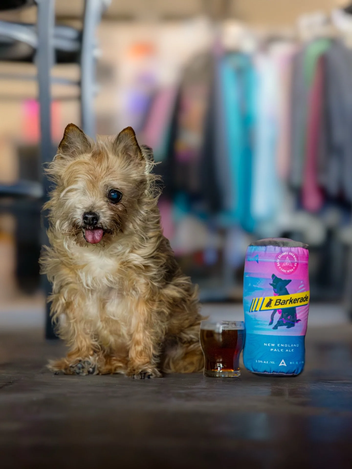 Join us tomorrow, 1/31, for the fifth rendition of the Cutest Puppy &amp; Dapper Dog Competition with co-host @klondikedogderby 

We&rsquo;re celebrating all the adorable pups, from the tiniest tails to the fluffiest ears. Register your dog online (o