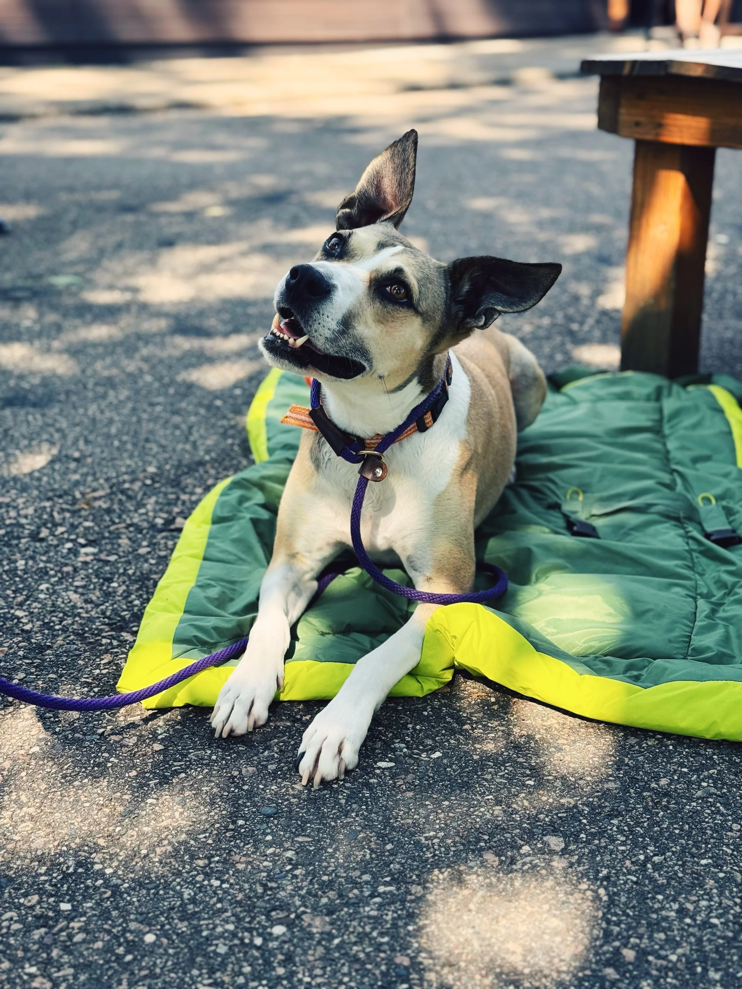 Rooney&rsquo;s face when he hears it&rsquo;s going to be another hot week.

Fortunately, we&rsquo;ve got a few fresh taps ready for the forecast.

+ Stationary Chop &mdash; Czech Amber Lager &mdash; 5.00% ABV
+ Crushin&rsquo; Dishes &mdash; Cream Ale