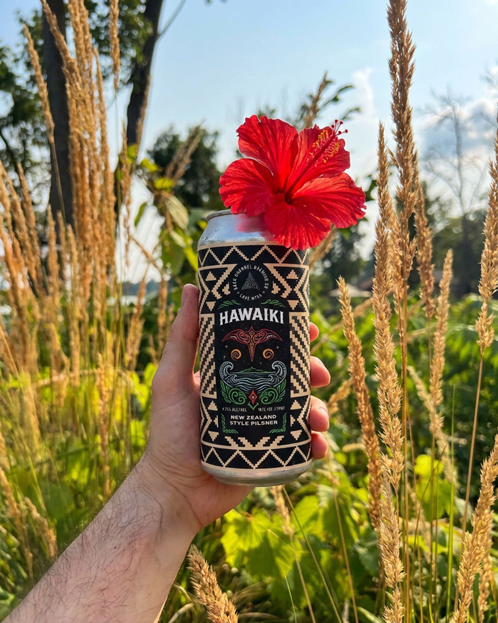 Hawaiki Weekend continues.

October keeps giving us summer weather, so we&rsquo;re going to keep drinking like it.

Hawaiki is our 4.75% New Zealand Style Pilsner, brewed with @mauibrewingrestaurants and a lineup of New Zealand hops&mdash;Motueka // 