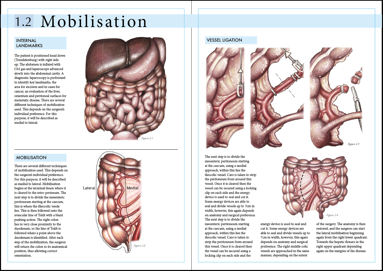 Please email: emmarosewalkerillustrations@outlook.com to request the full booklet