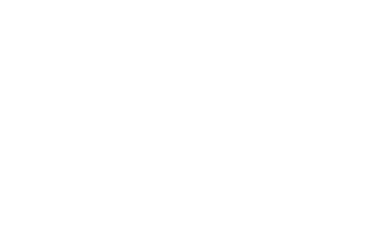 Visa Logo