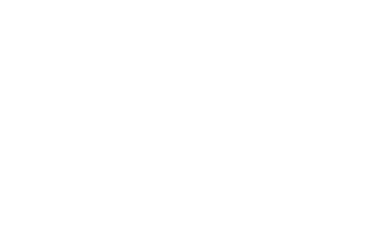 Banco Industrial Logo