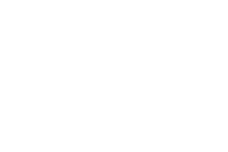 BAC Logo