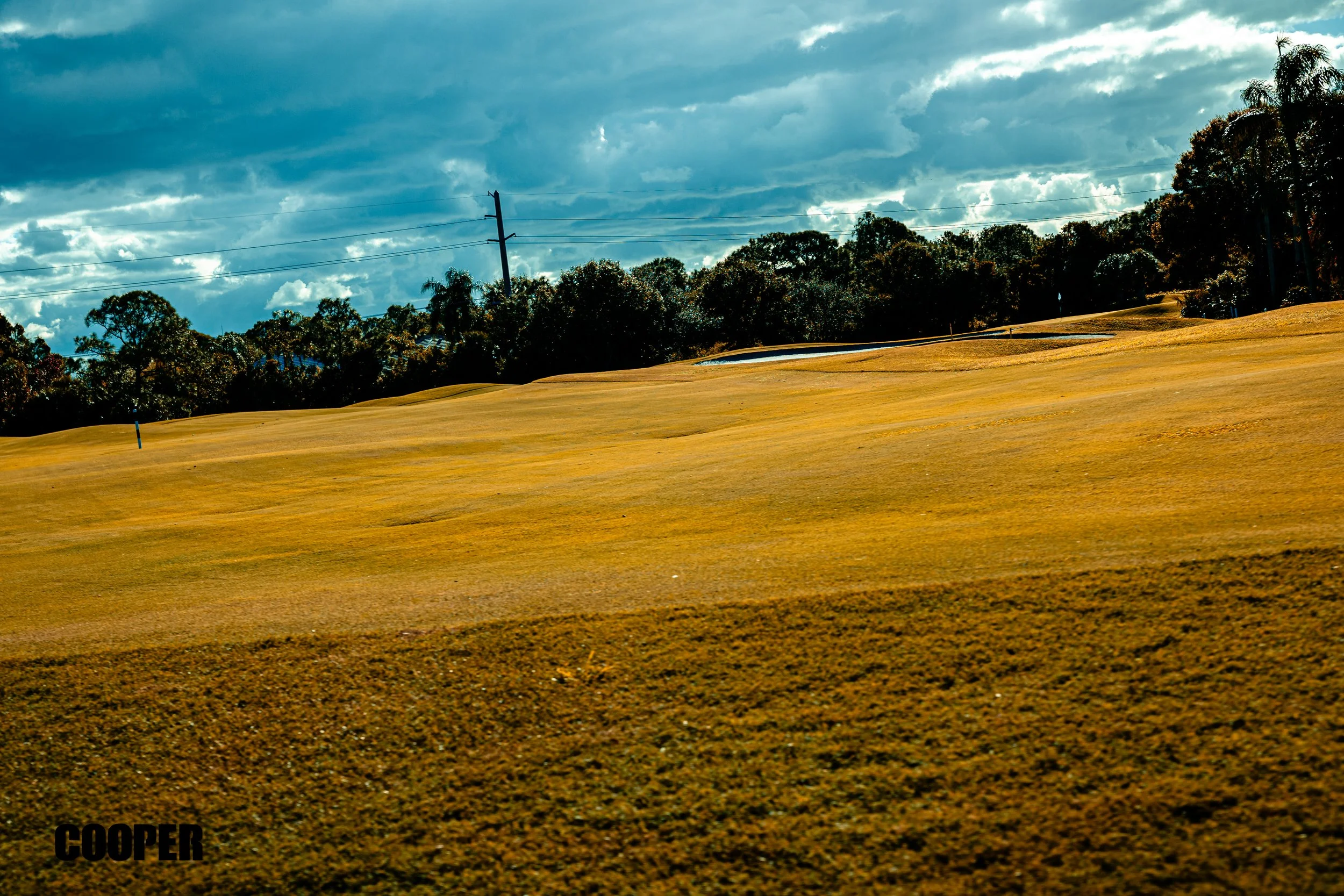 BCHS Golf 2025-056.jpg