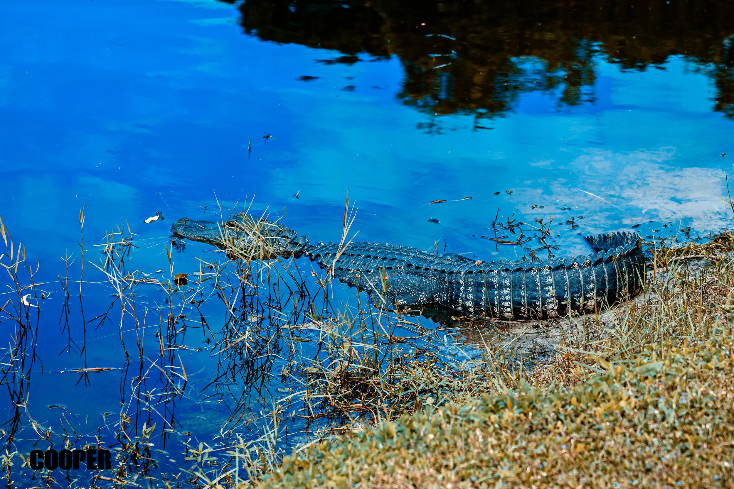 BCHS Golf 2025-096.jpg