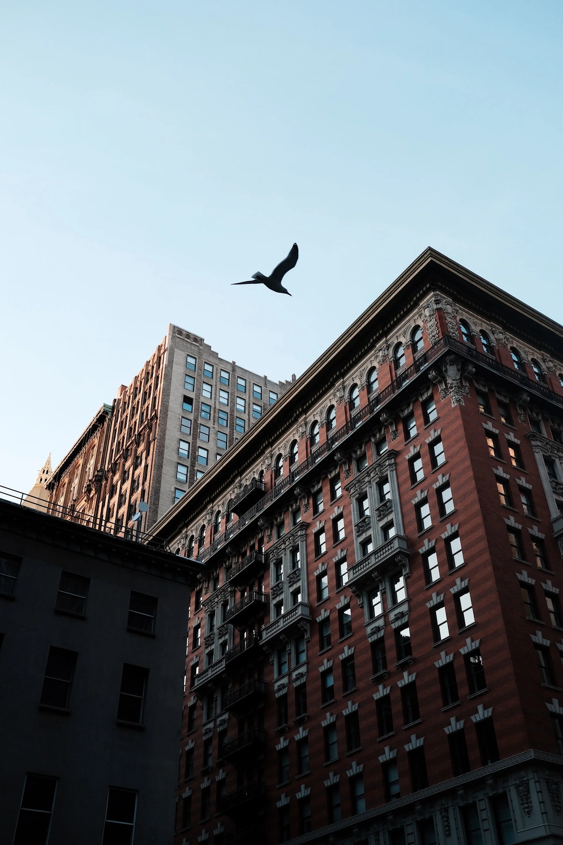 apartment-apartment-buildings-architecture-2170687.jpg