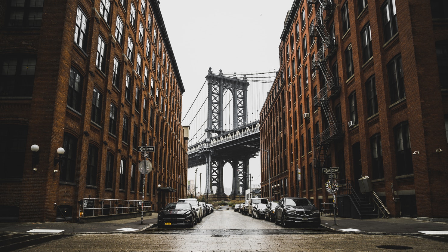 dumbo-rainy.jpeg