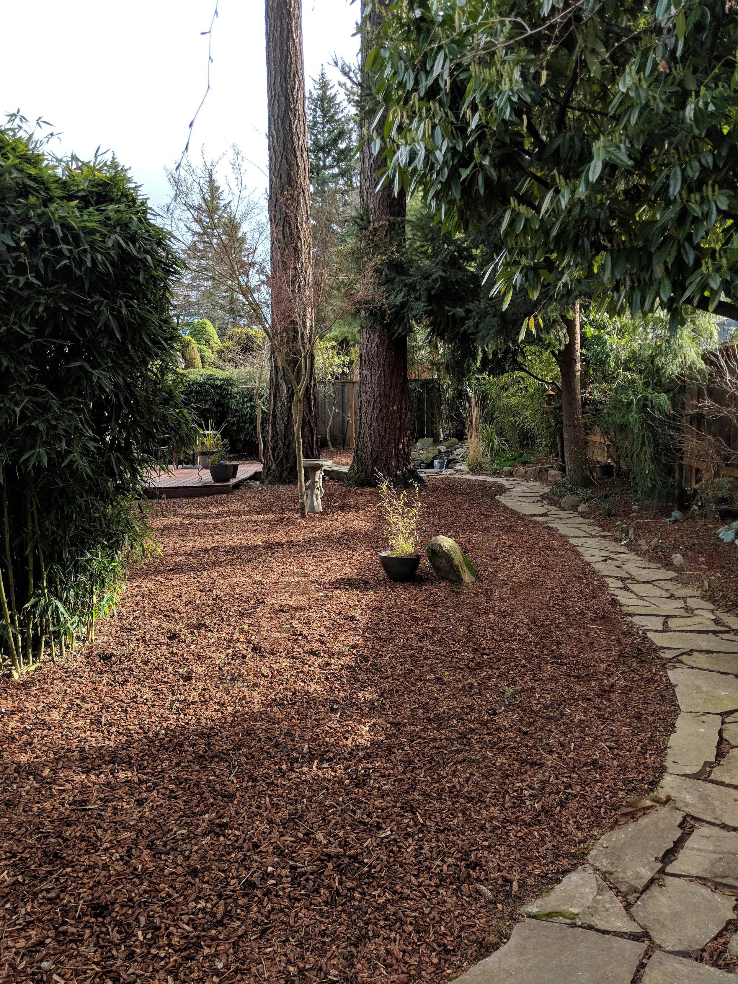 IMG_20190328_171054 fixed.jpg