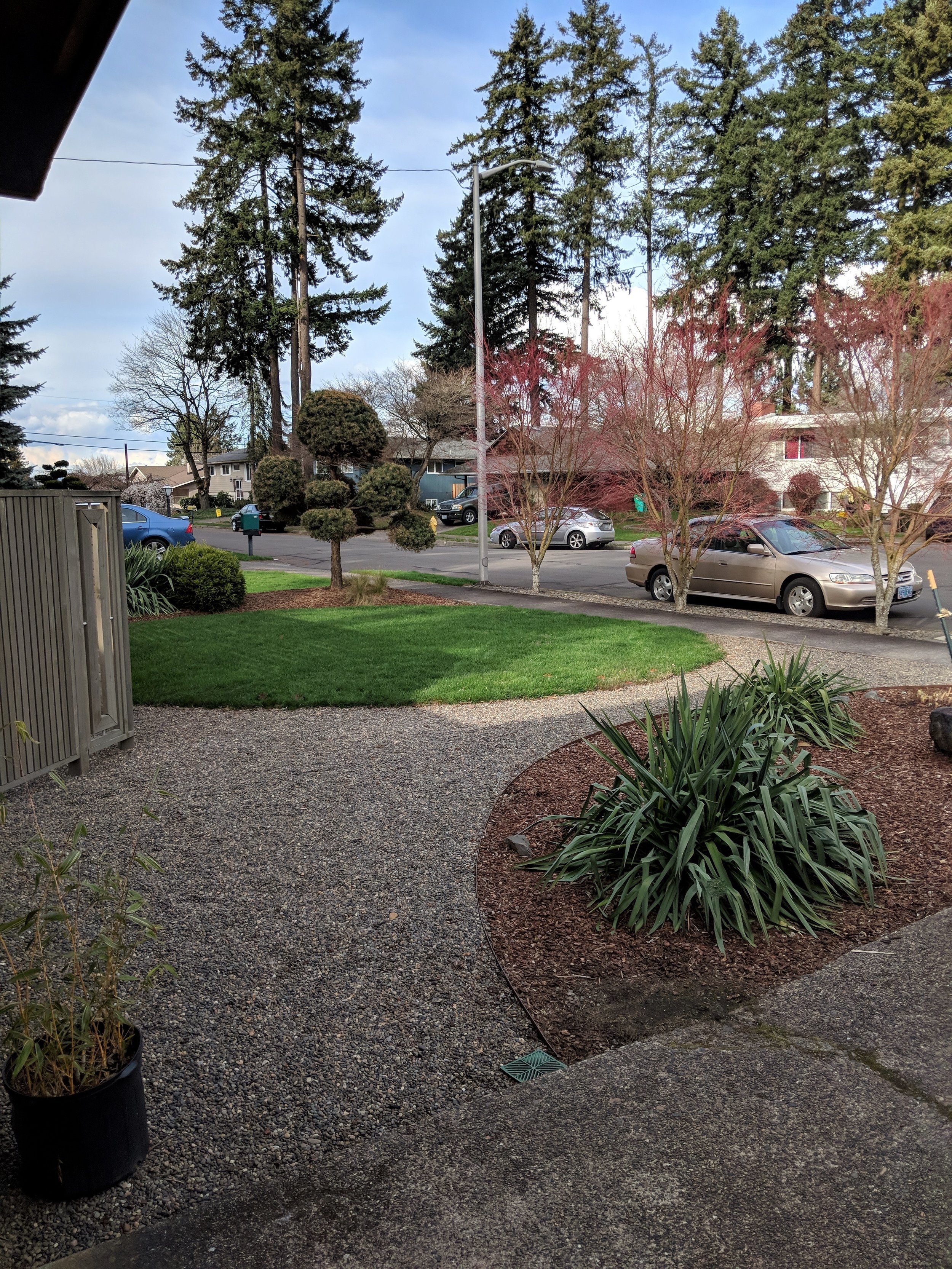 IMG_20190328_171151 fixed.jpg