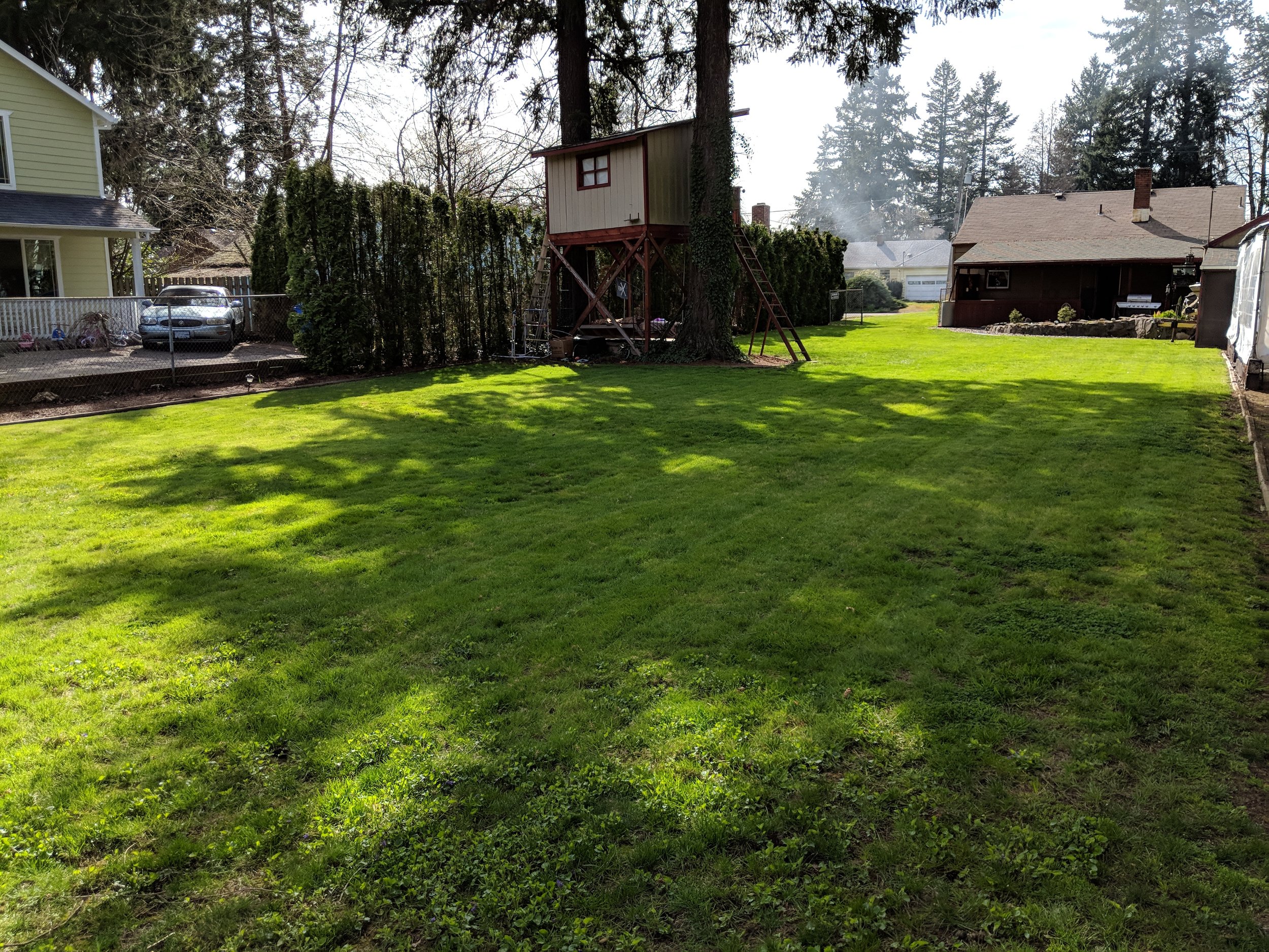 IMG_20190331_154849.jpg