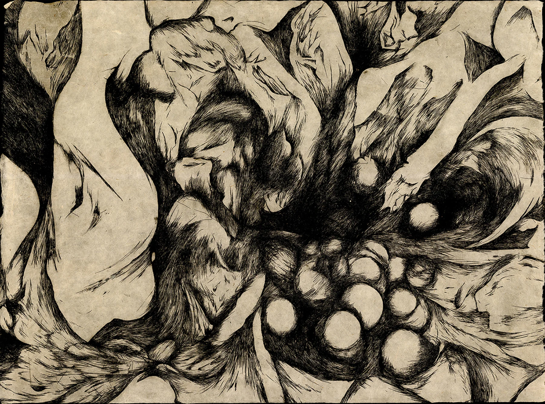 SeedPods,RachelSingel,Intaglio,2016.jpg