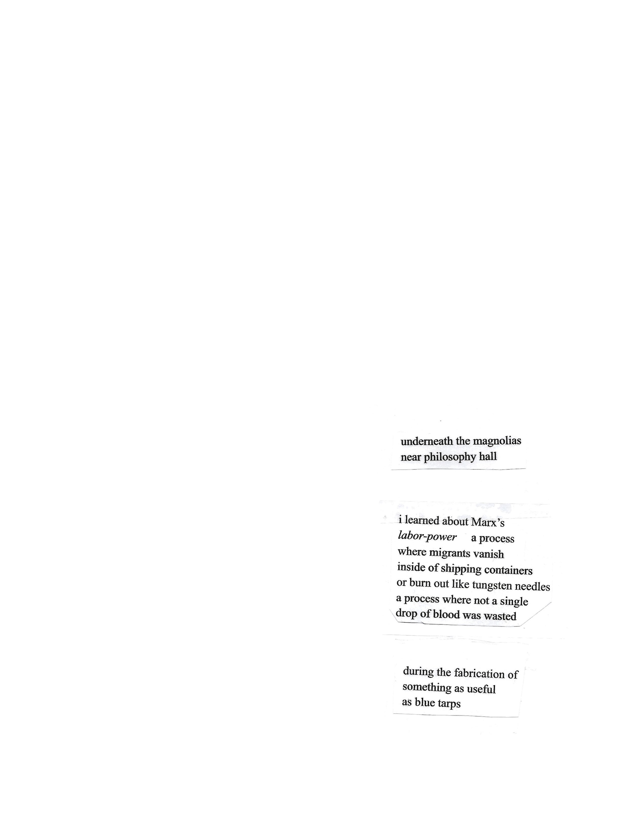  underneath the magnolias near philosophy hall  i learned about Marx’s labor-power &nbsp; a process where migrants vanish inside of shipping containers or burn out like tungsten needles a process where not a single drop of blood was wasted  during th