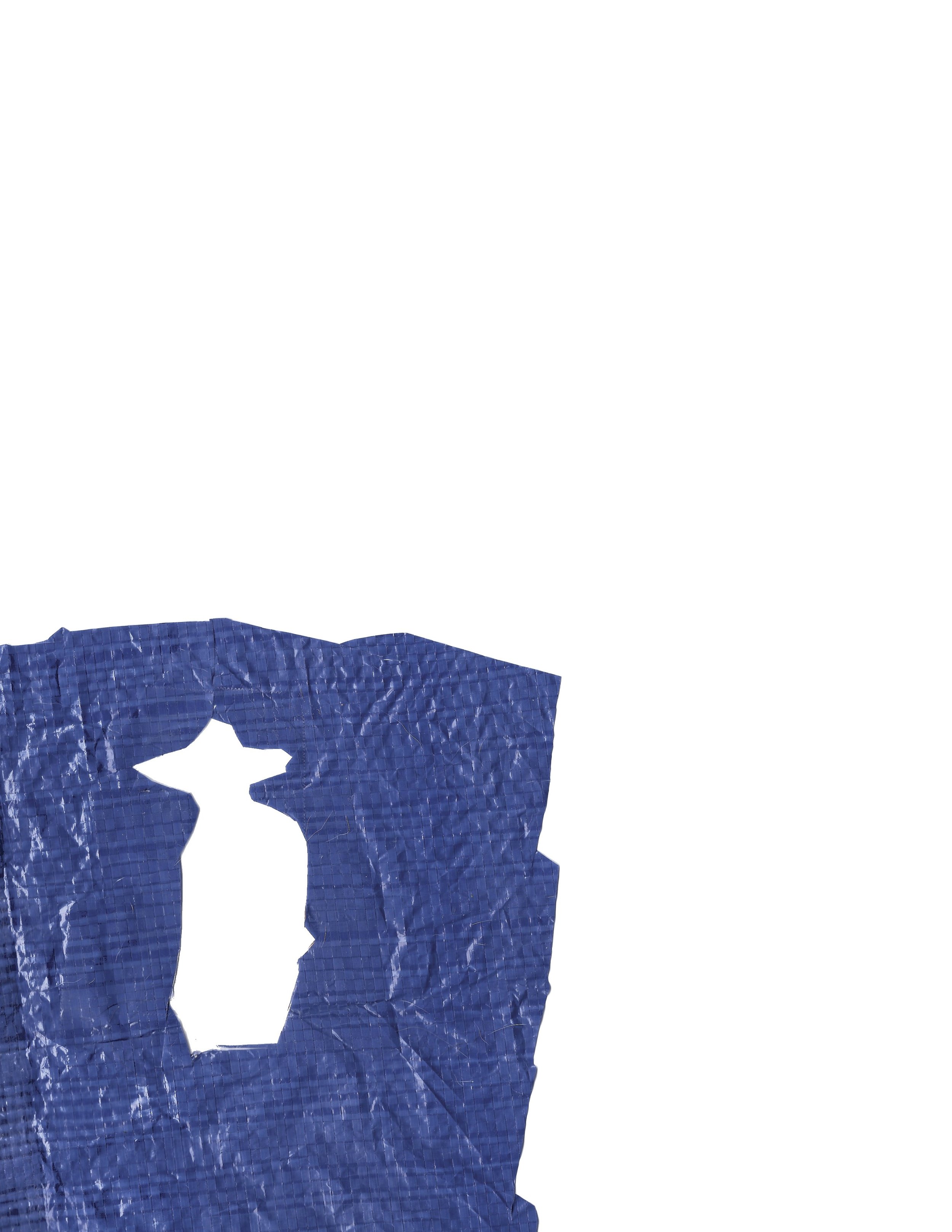  [scan of the sheet of blue tarp the original silhouette with a sombrero was cut from] 