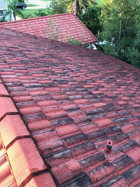 Tile Roof Red Before .jpg