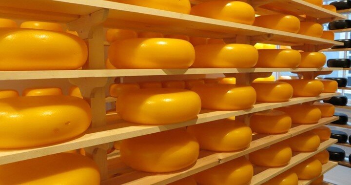 Interesting Facts about Gouda⁠
⁠
1. Gouda is one of the oldest recorded cheeses in the world. Historians date the cheese back to the 12th century.⁠
2. The cheese is named after the Dutch city of Gouda, not because it is produced in this region, but h