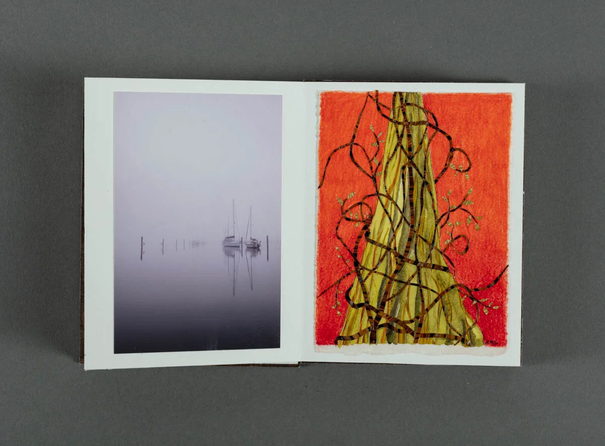 CIndy WIlson  (left)  & Ann-Marie Gillett  (right)