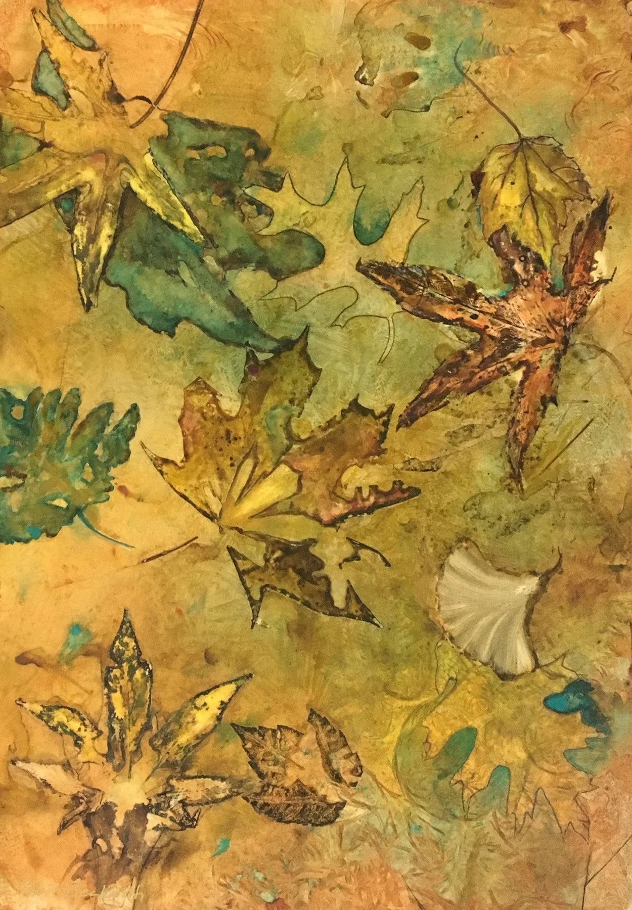 Robin Beckwith