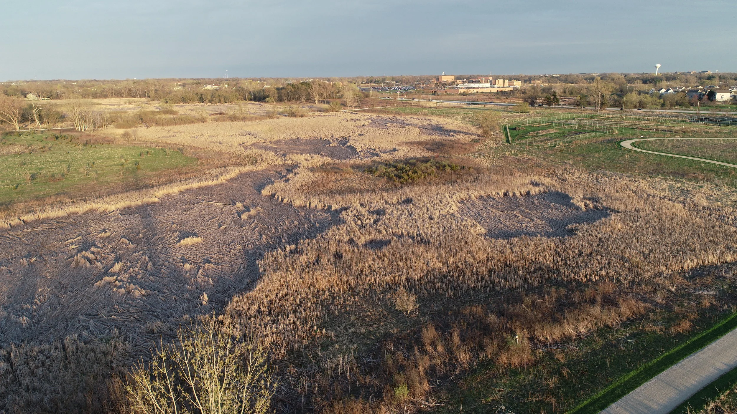DJI_0008.JPG