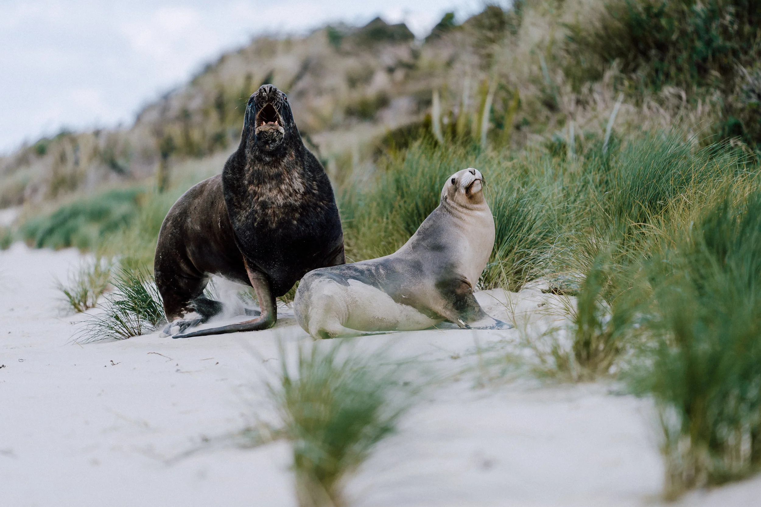 NZ Journal Micayla sml fnls rd1-112.jpg