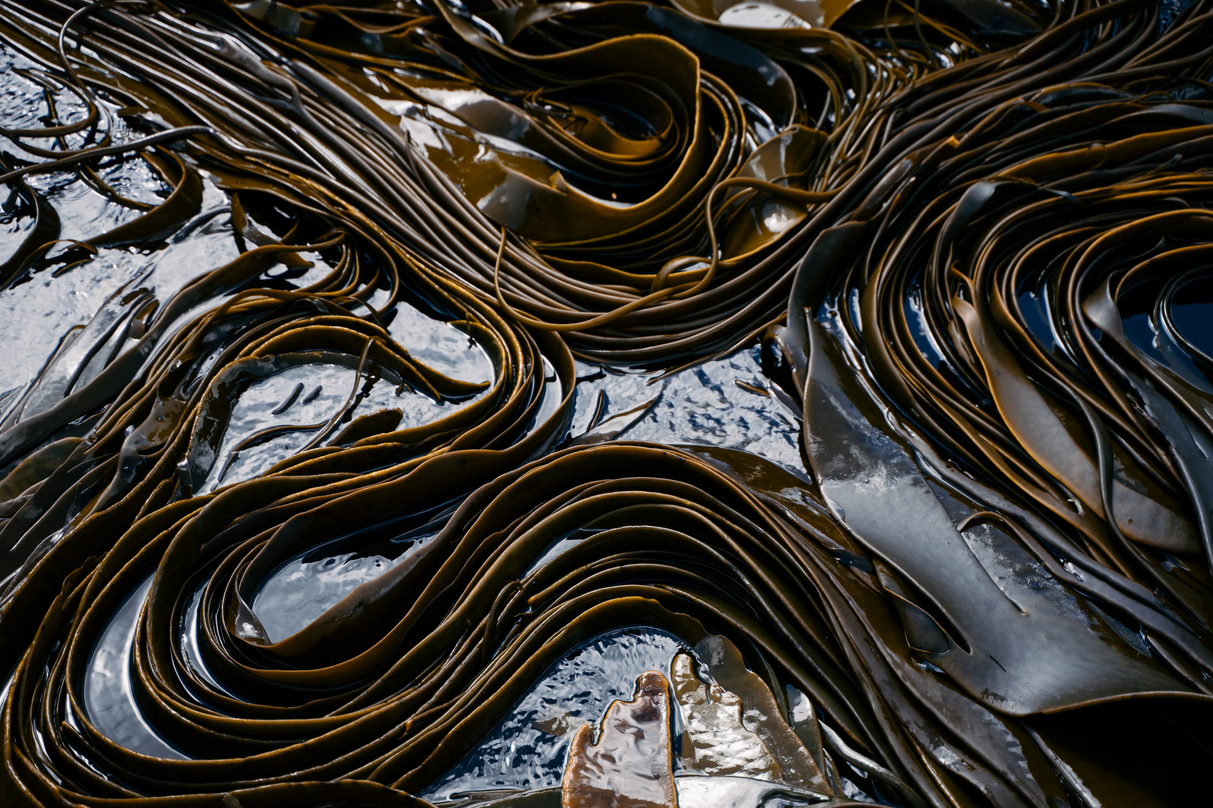 NZ Journal Micayla sml fnls rd1-121.jpg