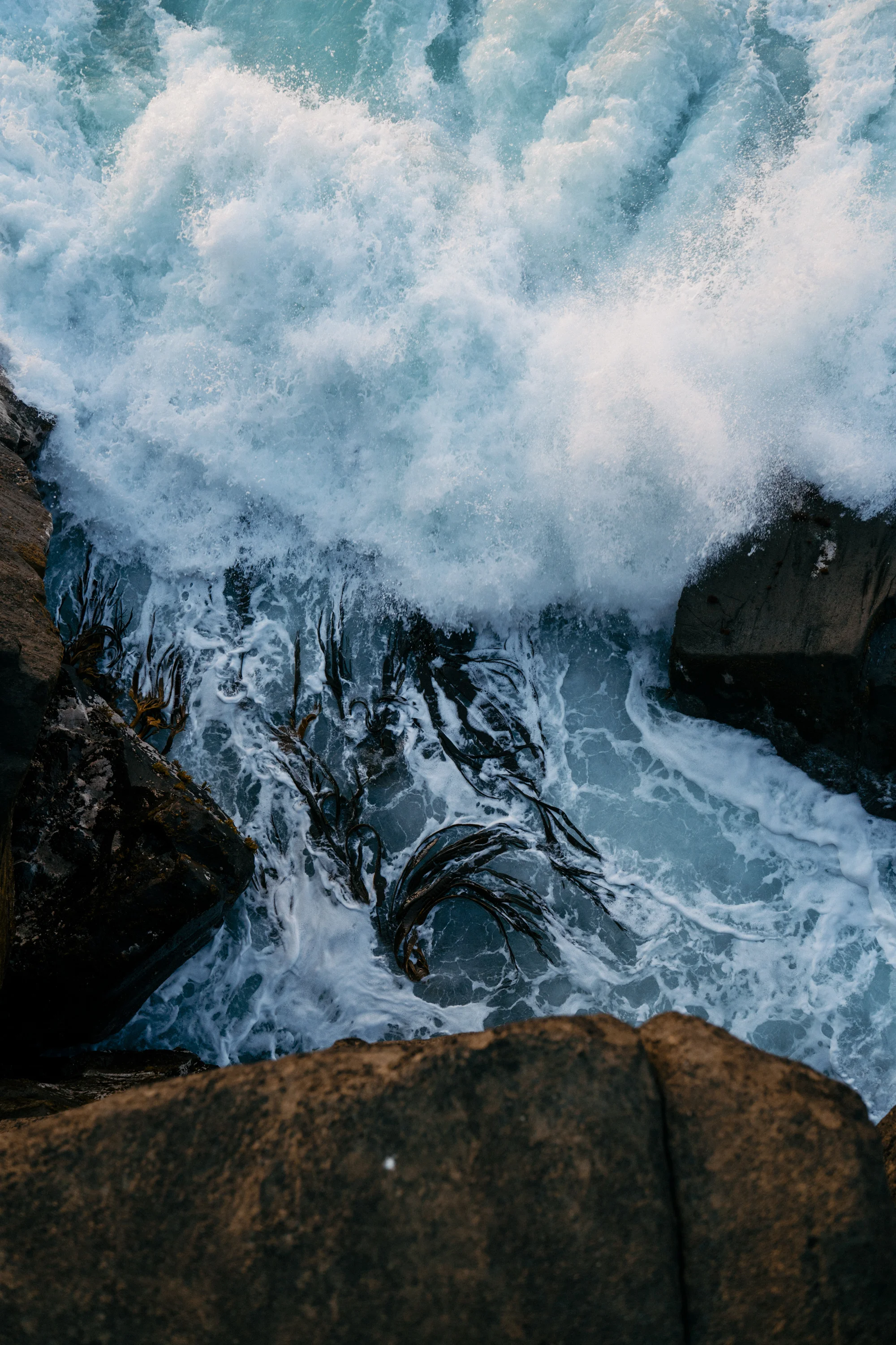 NZ Journal Micayla sml fnls rd1-156.jpg