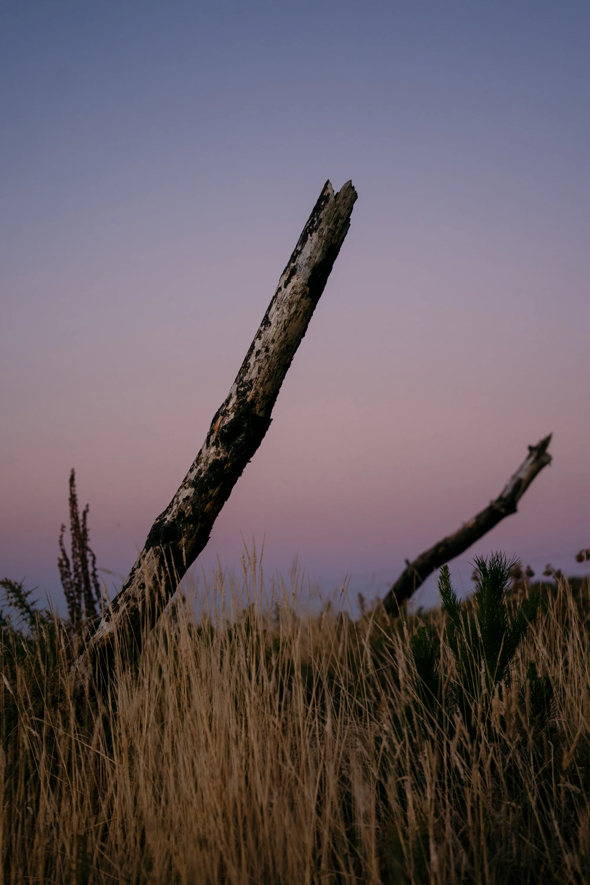 NZ Journal Micayla sml fnls rd1-416.jpg