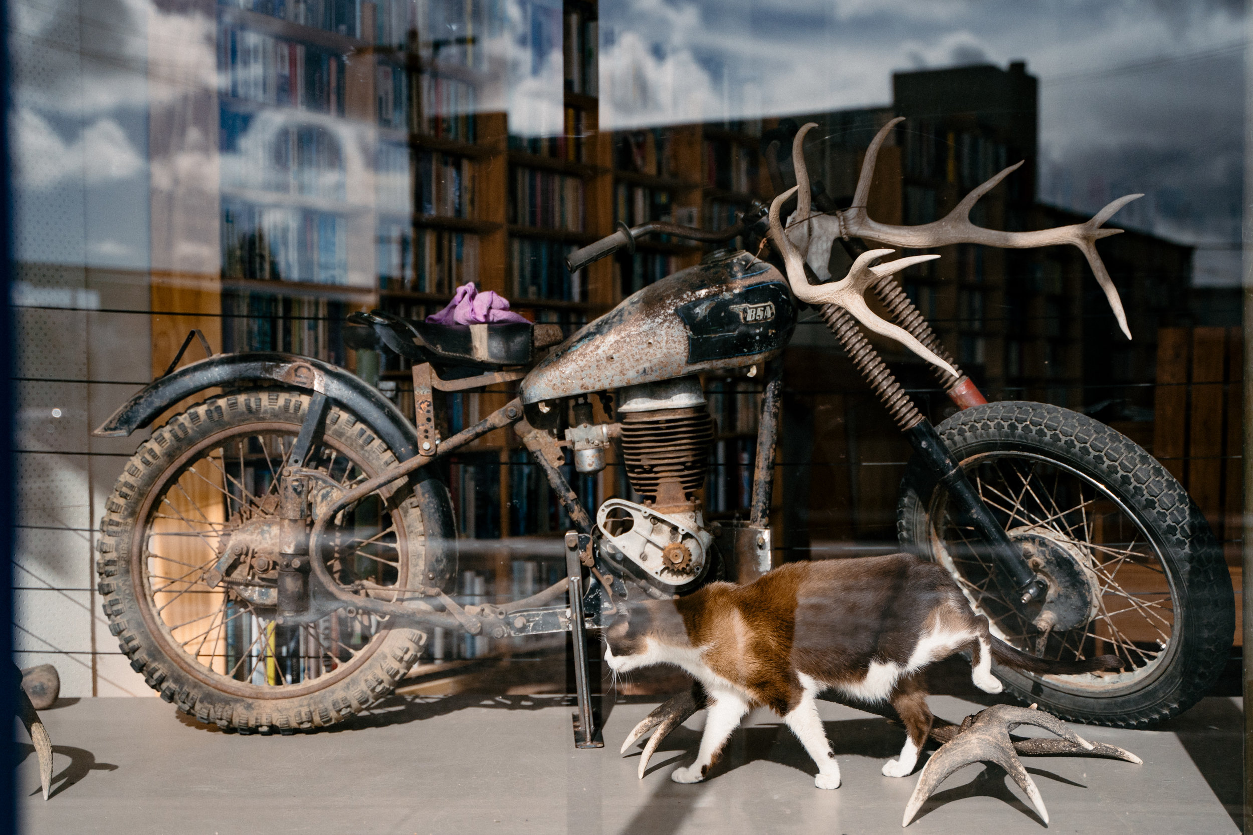 NZ Journal Micayla sml fnls rd1-102.jpg