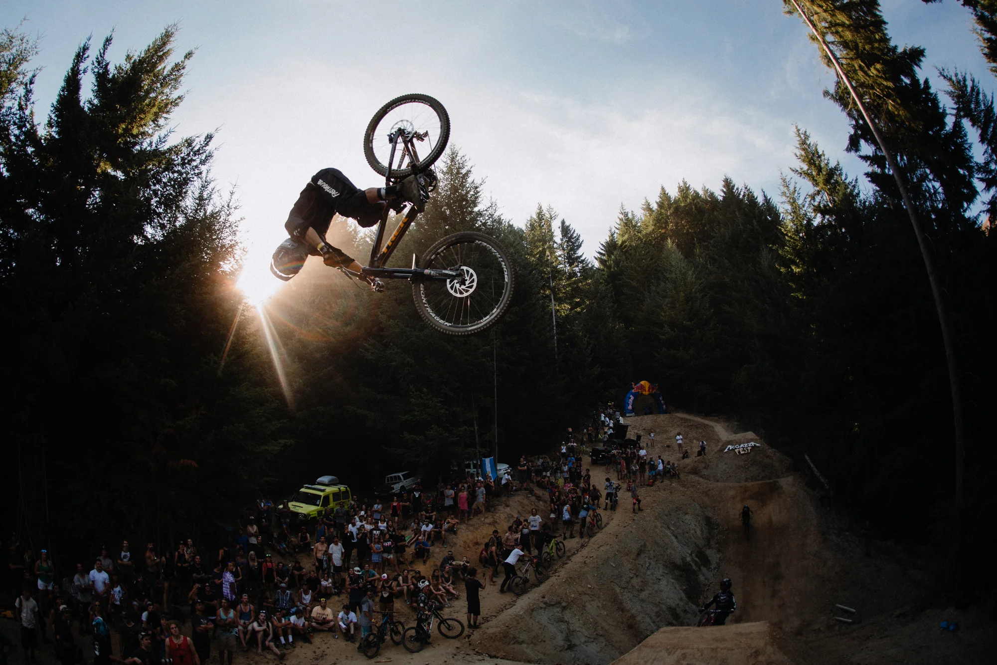 rdog flat spin hi.jpg