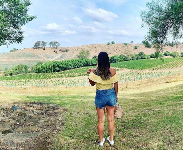 Same same but different. A lovely, slightly Smokey pre Christmas weekend in the Hunter Valley #skippyhidthewineinabush #thenlostthebush #igothangry &bull;
&bull;
&bull;
&bull;
&bull;
&bull;#adventureswithskippy #australia #asia #wine #winery #tasting