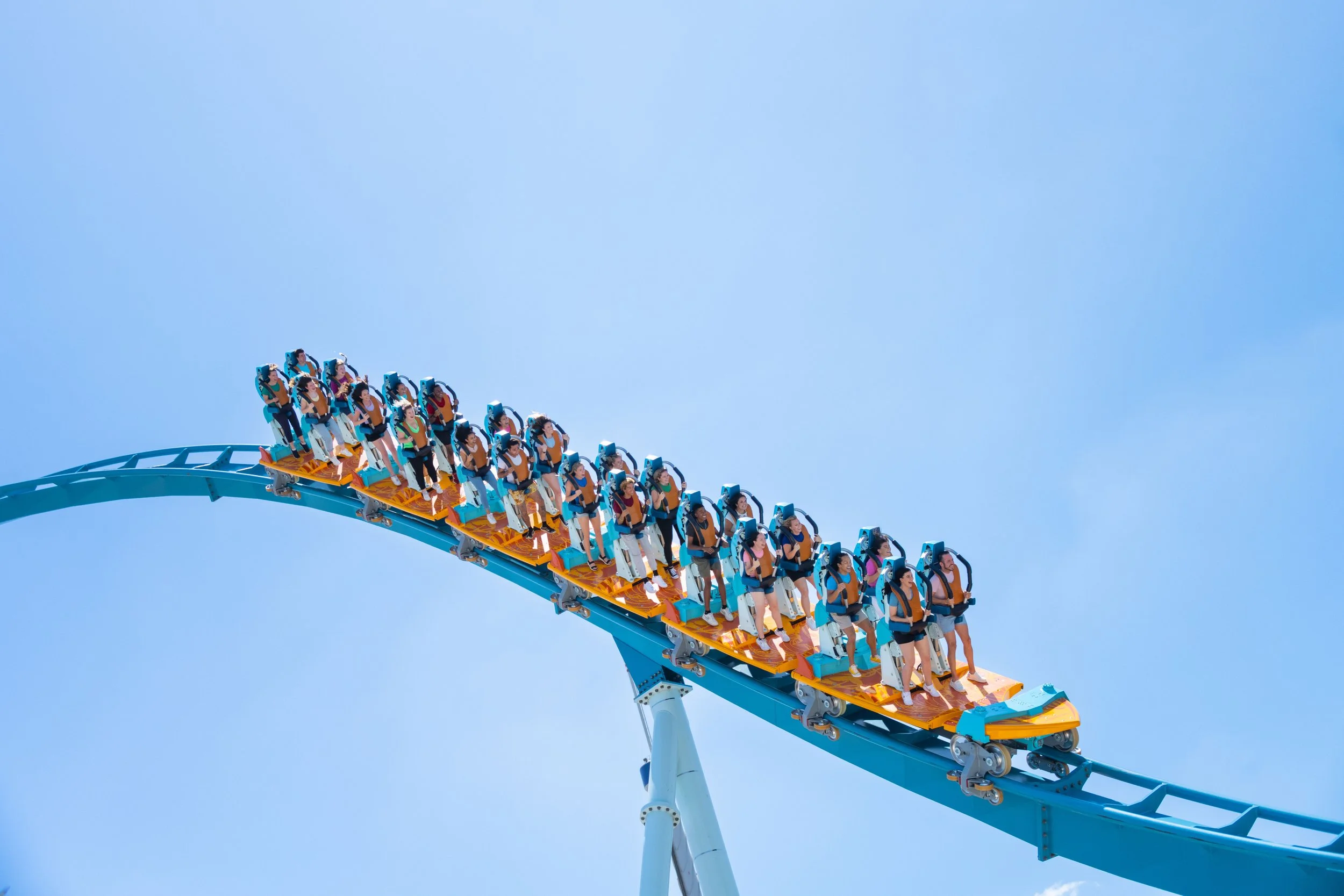  Image Courtesy of SeaWorld Orlando 