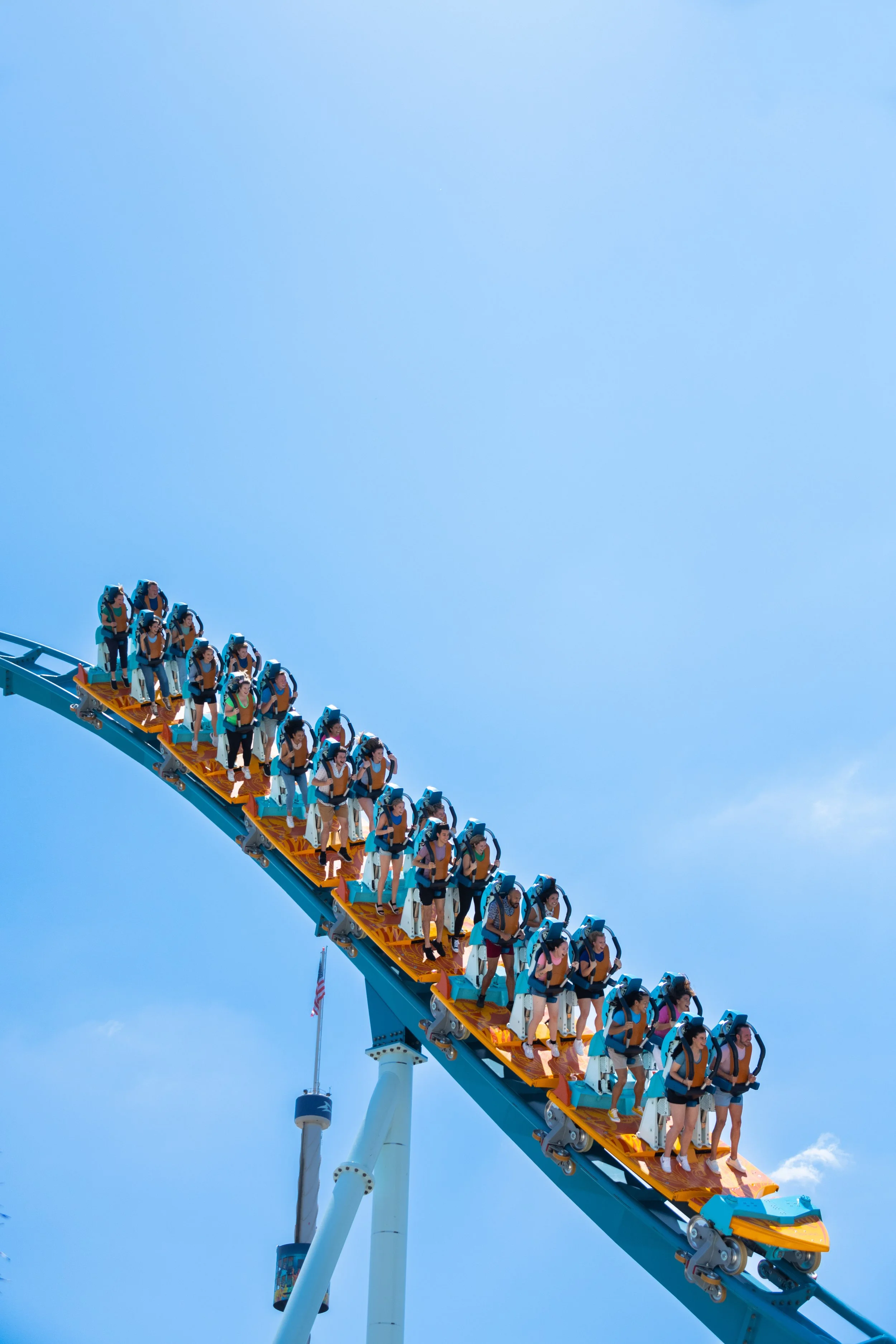  Image Courtesy of SeaWorld Orlando 