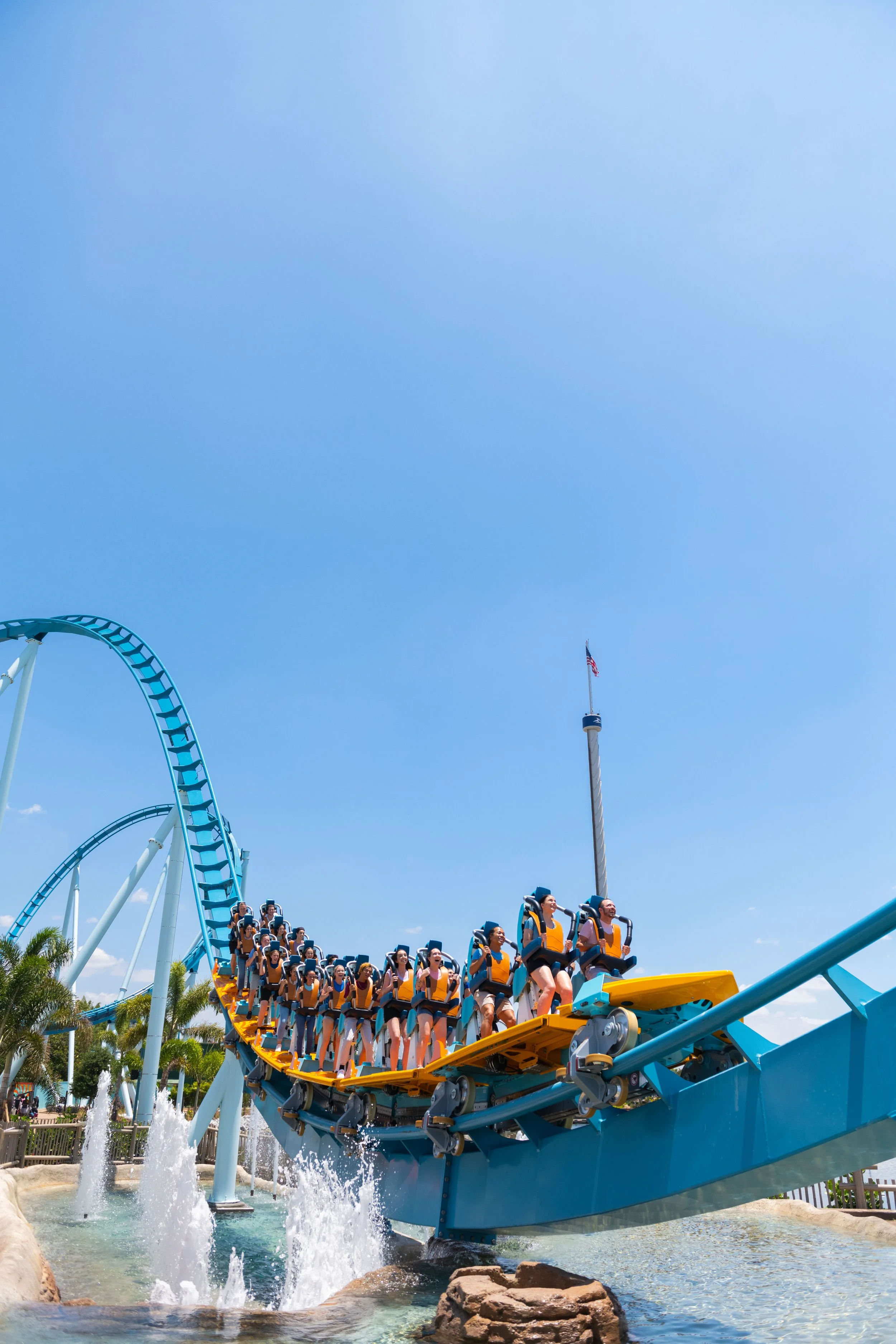  Image Courtesy of SeaWorld Orlando 