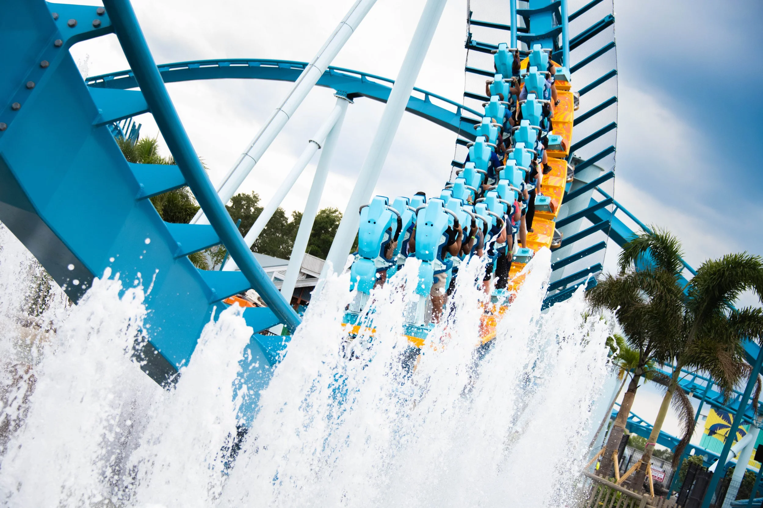  Image Courtesy of SeaWorld Orlando 