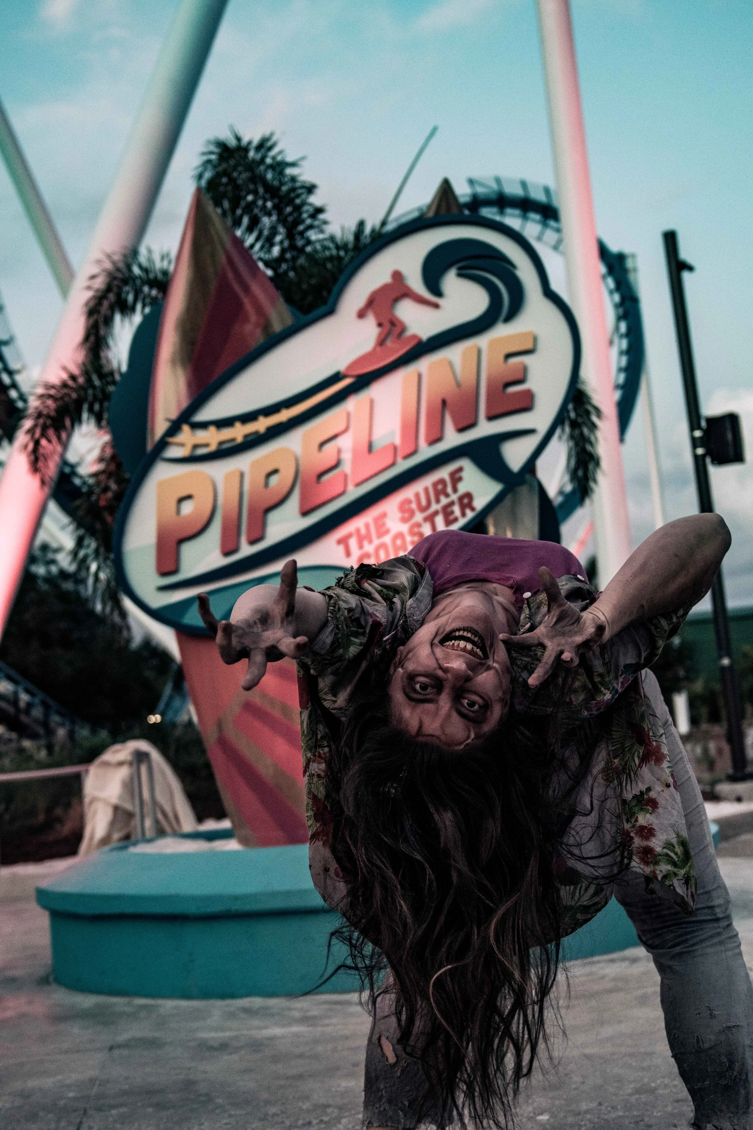  Image Courtesy of SeaWorld Orlando 