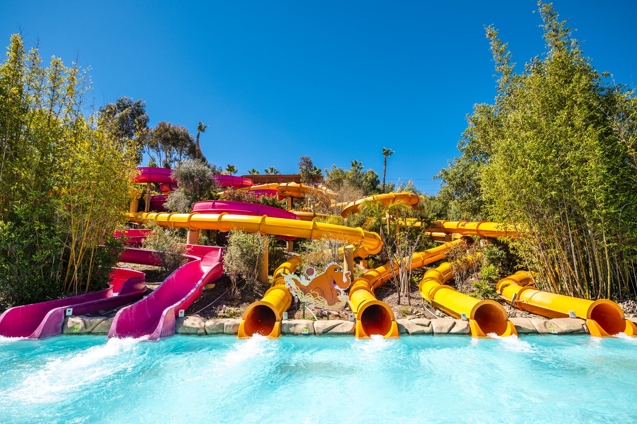 SPC_Water Ride_Snuffys Spaghetti Slides.jpg