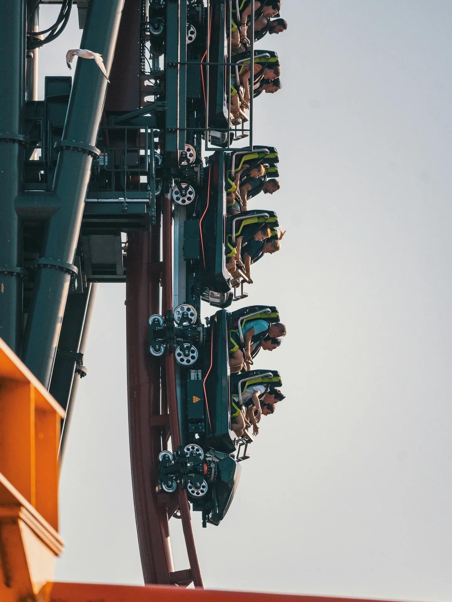 Today is a PERFECT day for some HalloWeekends! How&rsquo;s this year compare to others? 
.
📸: @park_paradise 
.
#rollercoaster&nbsp;#coasters&nbsp;#freizeitpark&nbsp;#achterbahn&nbsp;#monta&ntilde;arusa&nbsp;#parquedediversoes #Travel #themepark #am