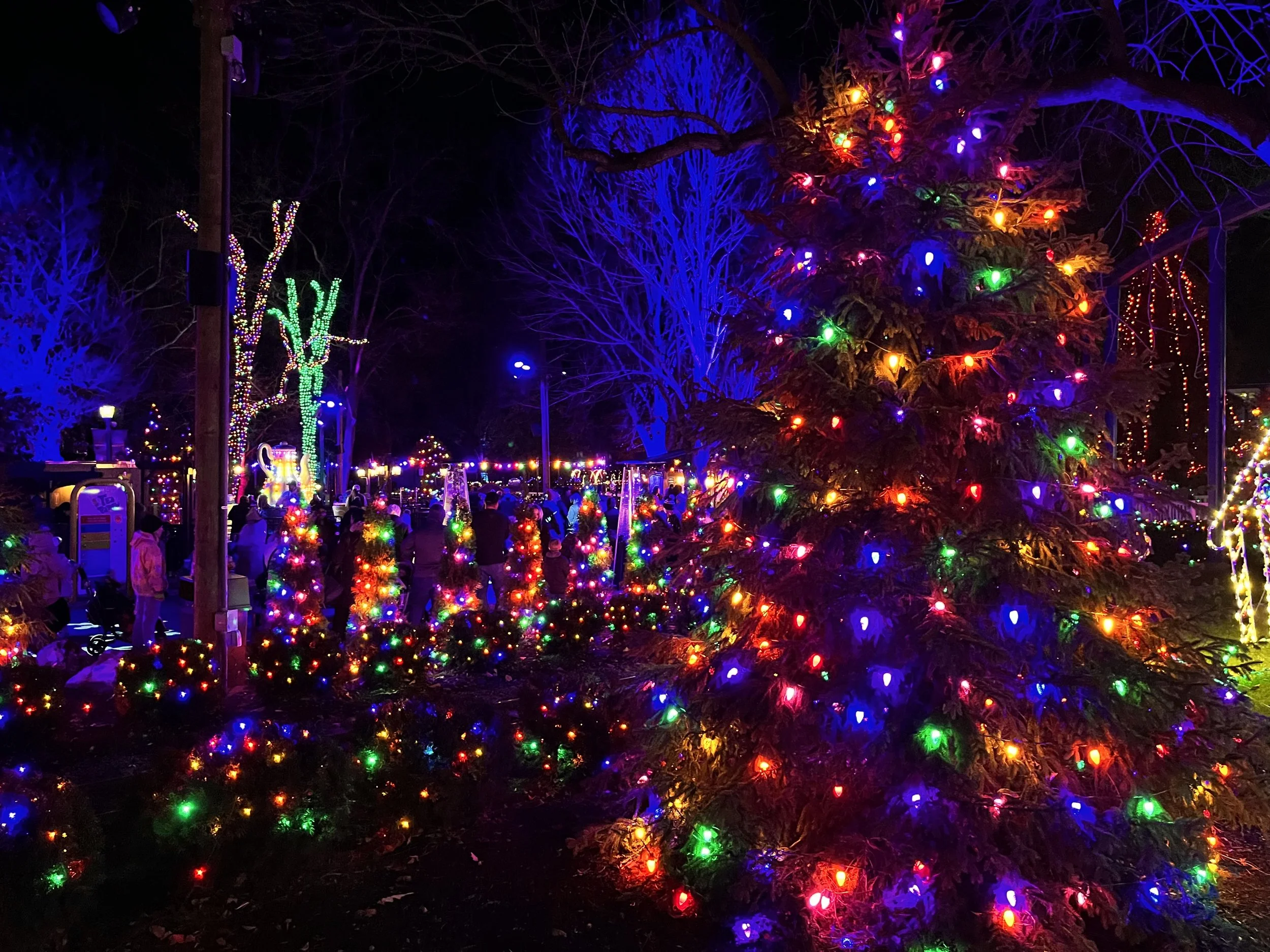Dutch Winter Wonderland Lights (2).jpeg