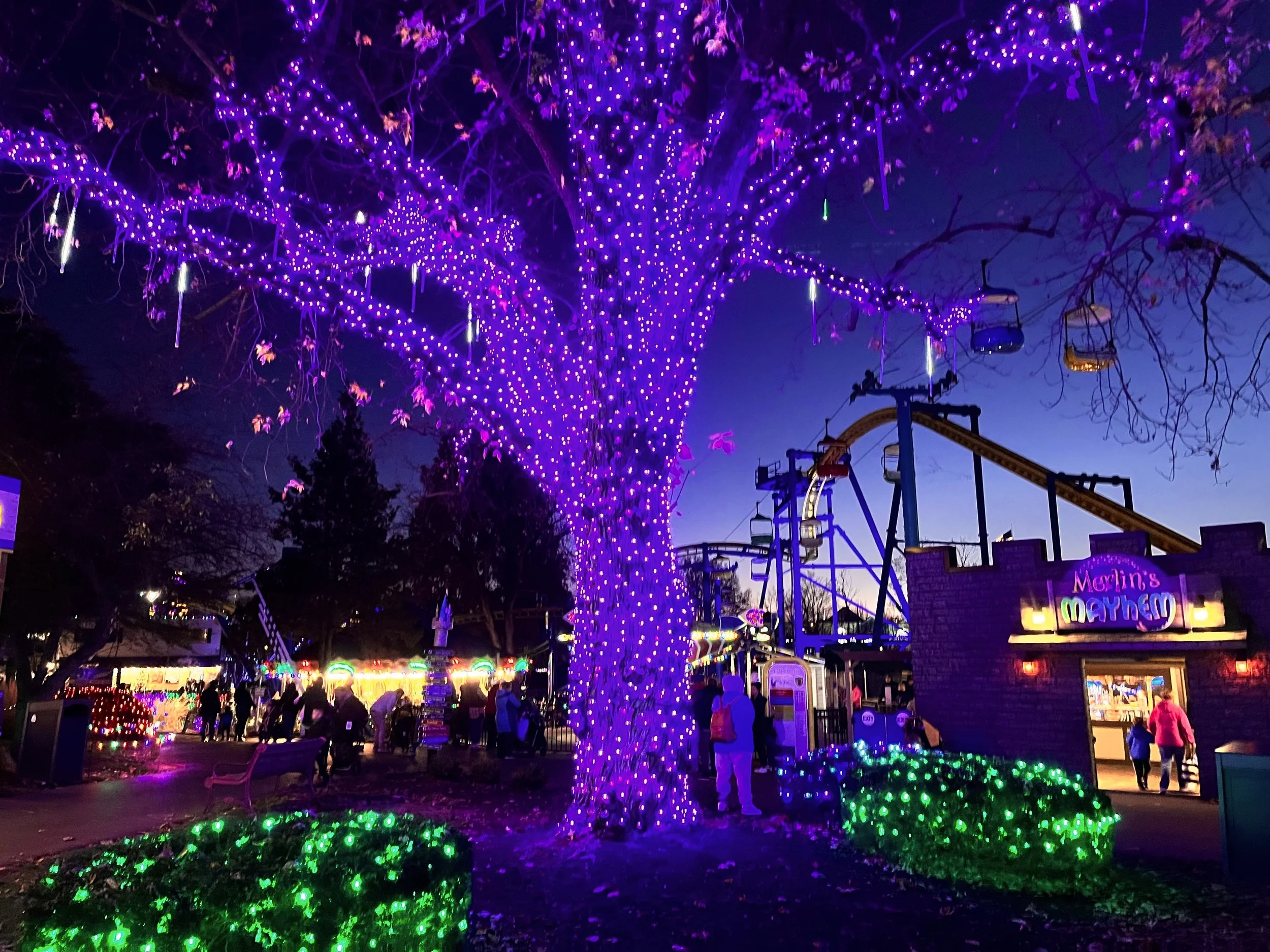 Dutch Winter Wonderland Lights.jpeg