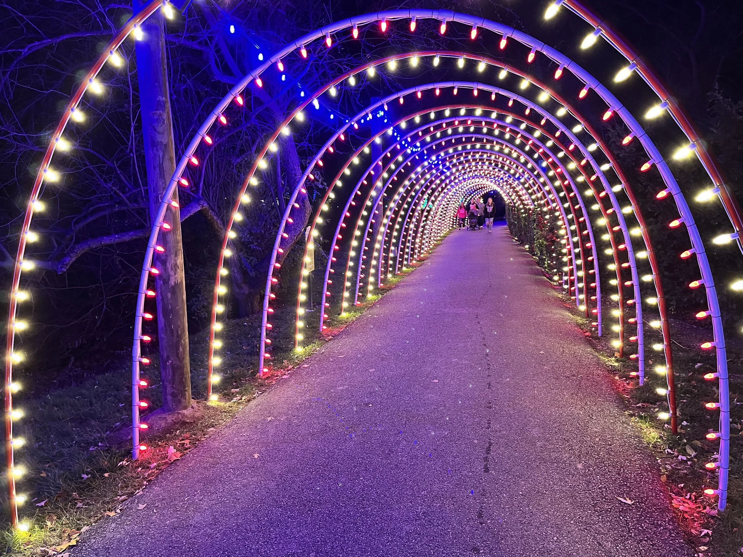 Tunnel of Lights.jpeg