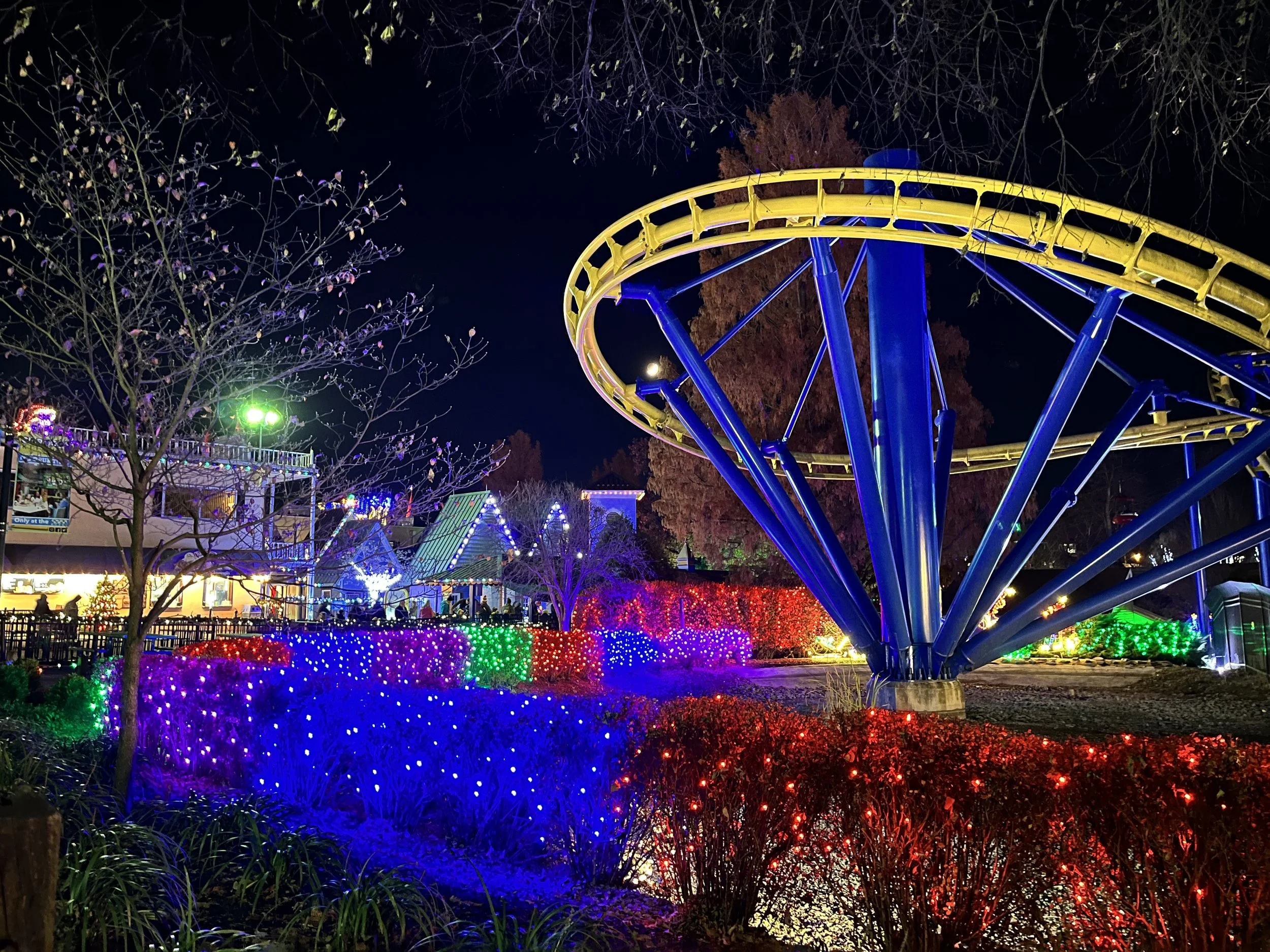 Winter Wonderland_Merlin_s Mayham.jpeg