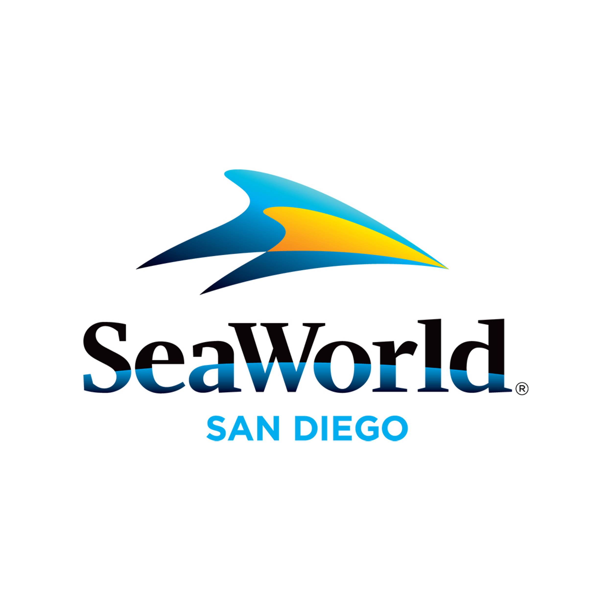 SeaWorld San Diego Lights Up the Sky with an All‑New Nightly Summer Drone Display