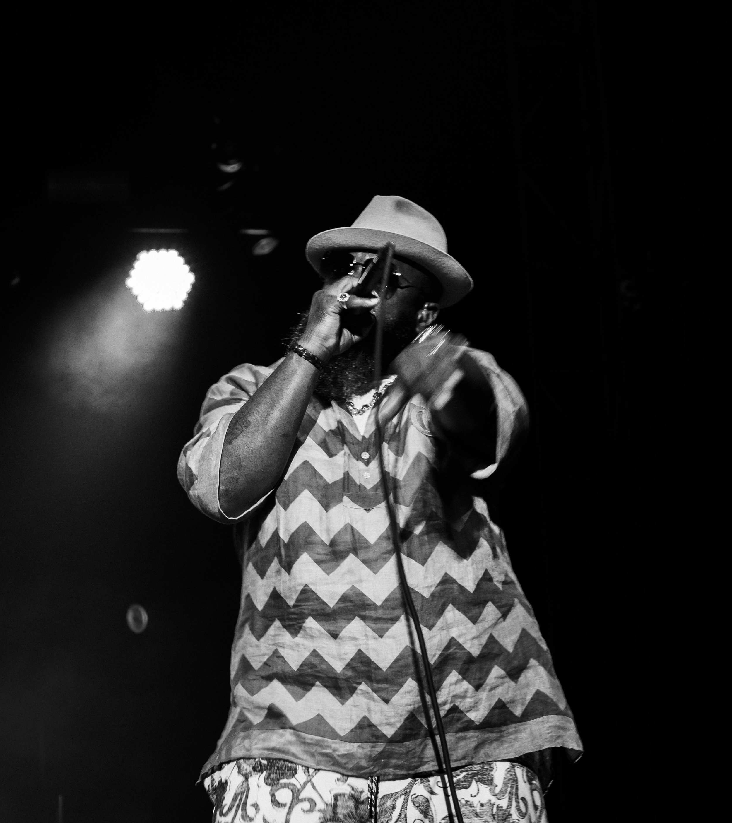 5The Roots Pitchfork '22.JPG