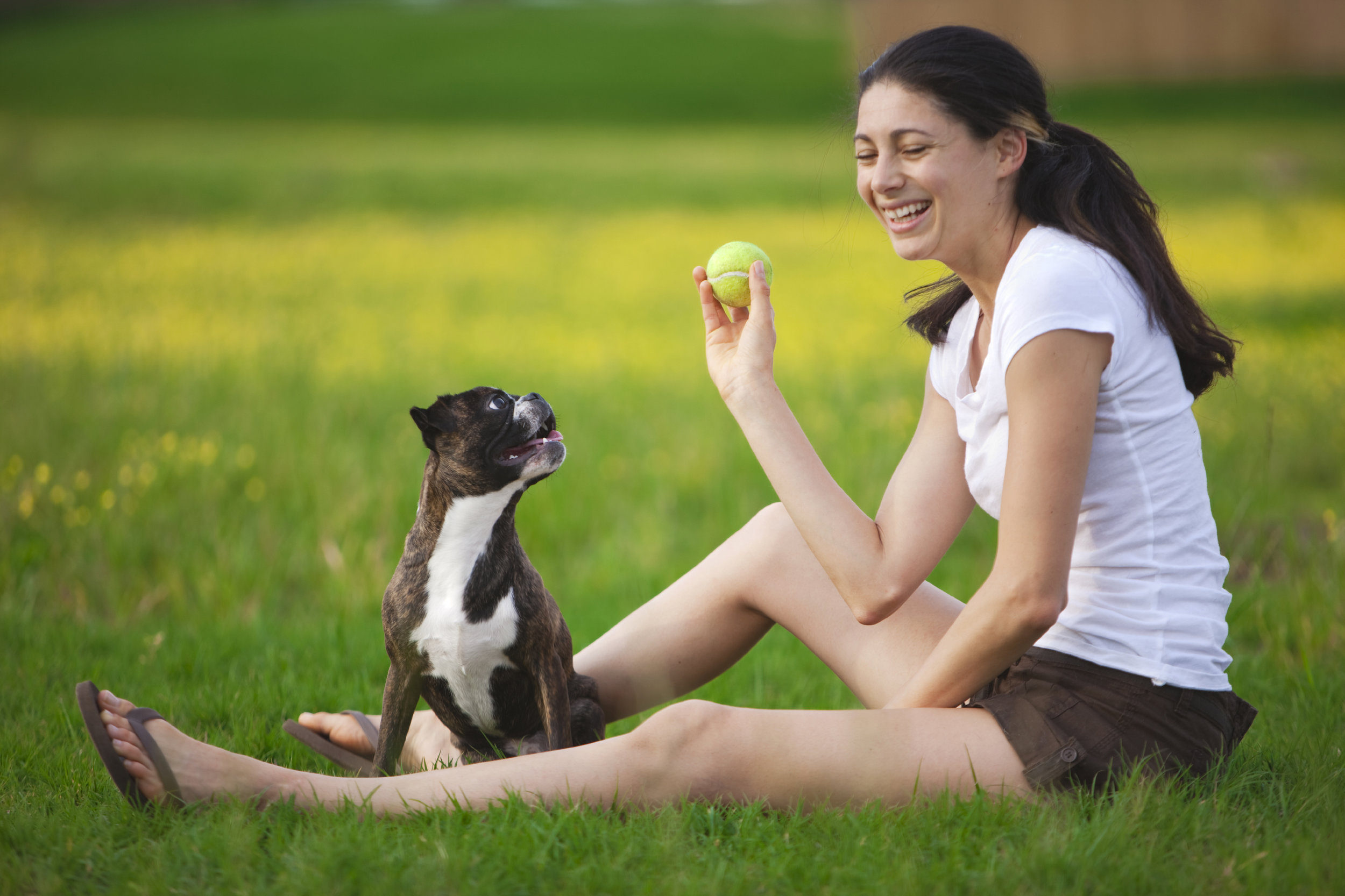iStock_000009454074_Large.jpg