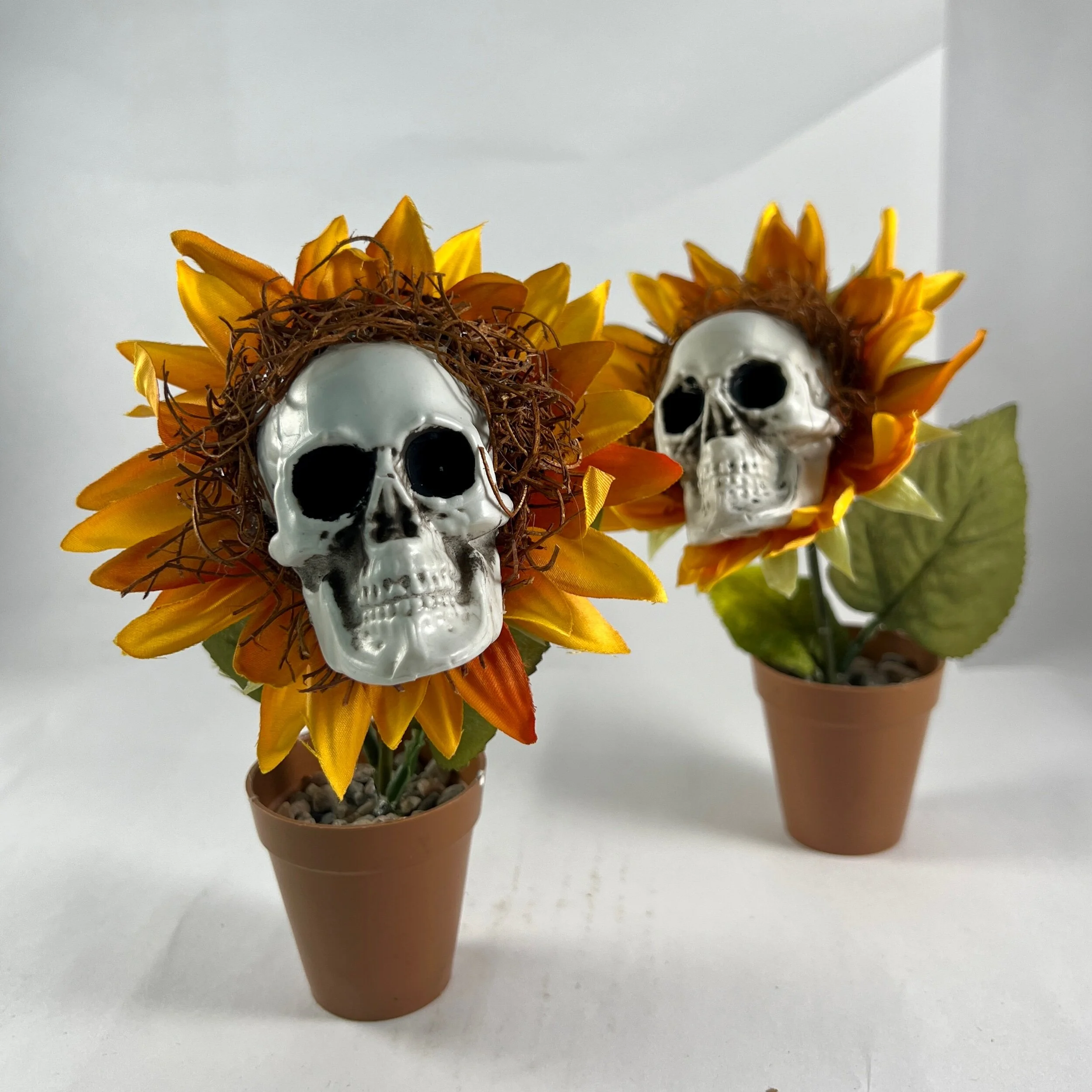 C24591CF-C9FC-4352-9289-D814EC9AC5B9