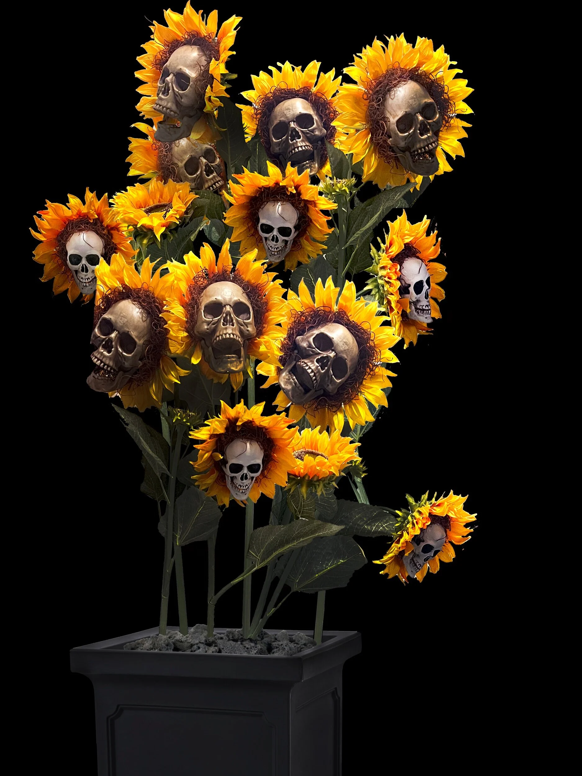 89427FDE-56CA-498F-9861-DE2B08DC4BCF