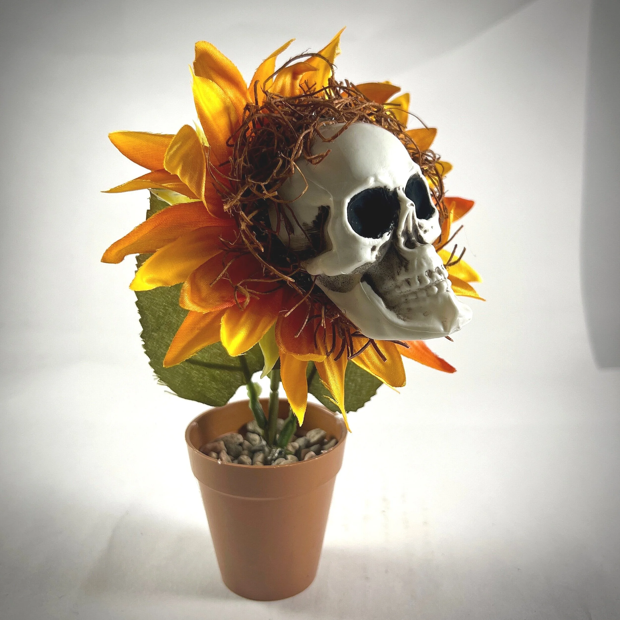 F5E8F2B1-06FA-4F31-84EF-B1C9050C4A84