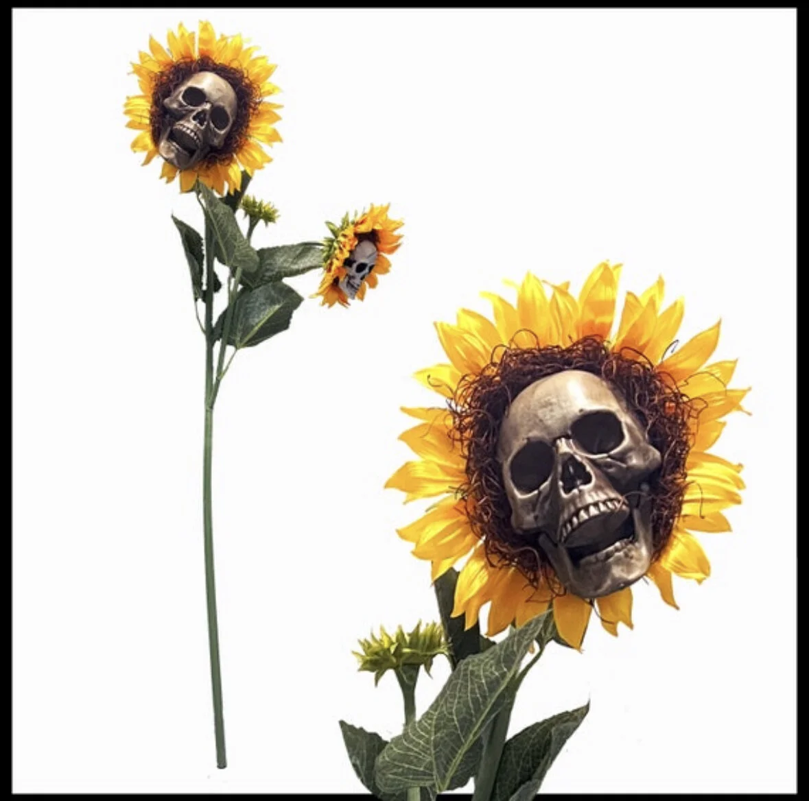 C60EF7F9-11F7-48A4-915E-4E1FA861A973